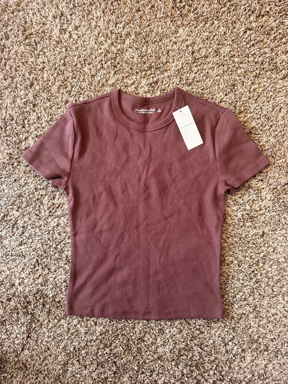 Abercrombie & Fitch Short Sleeve Ribbed Tee in Dusty Mauve